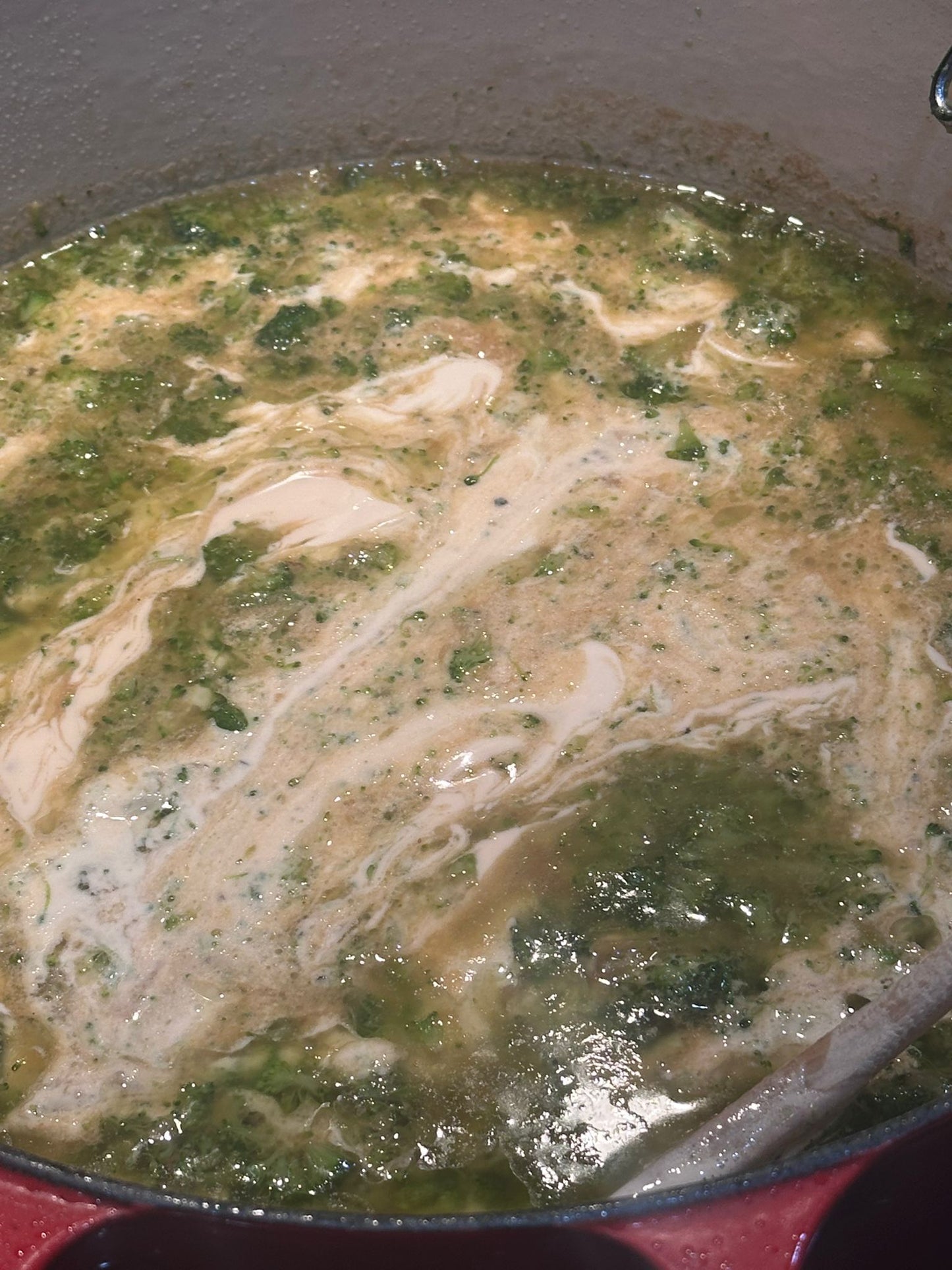 Chicken Broc Alfredo